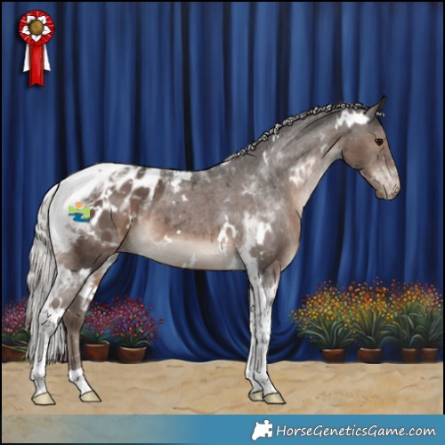 Horse Color:White Spotted Silver Black Tobiano Appaloosa 