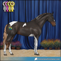 Horse Color:Liver Chestnut Tobiano 