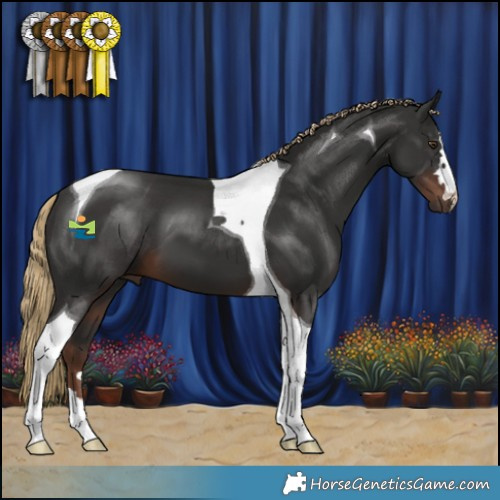 Horse Color:Liver Chestnut Tobiano 