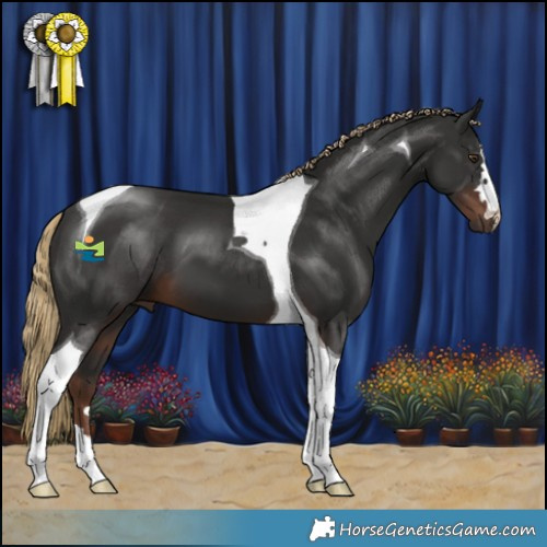 Horse Color:Liver Chestnut Tobiano