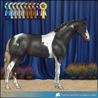 Horse Color:Liver Chestnut Tobiano 