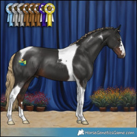 Horse Color:Liver Chestnut Tobiano 