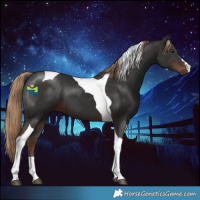 Horse Color:Liver Chestnut Tobiano 