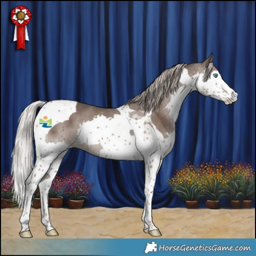 Horse Color:Silver Black Splash Tobiano 