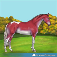 Horse Color:Gray Watercolor Chocolate Palomino Tobiano 