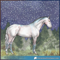 Horse Color:Gray Watercolor Silver Grullo Blanket Rabicano 
