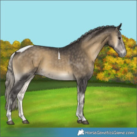 Horse Color:Silver Smoky Blue Onyx Tobiano