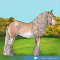 Horse Color:Gold Champagne Dun Splash Brindle  and White Spotted Gold Champagne 