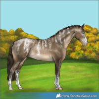 Horse Color:Powder White Gray Buckskin Pearl