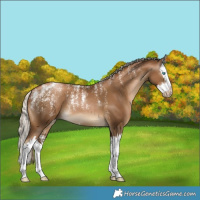 Horse Color:Powder White Gray Chocolate Palomino Pearl Splash 