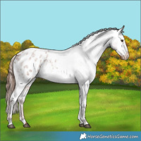 Horse Color:Red Roan Blanket 