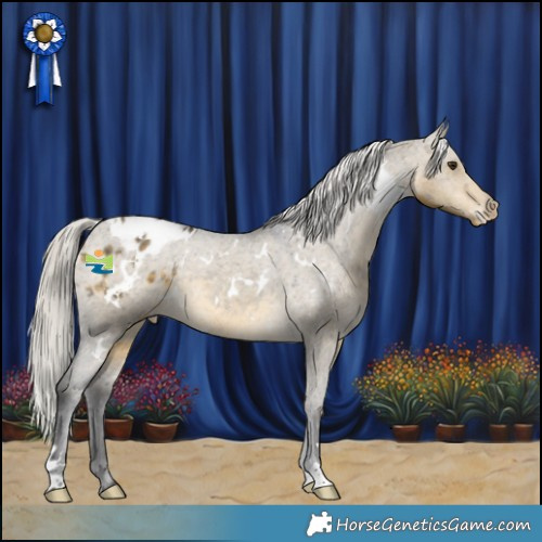 Horse Color:White Spotted Silver Buckskin Dun Appaloosa 