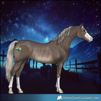 Horse Color:Silver Black Rabicano 