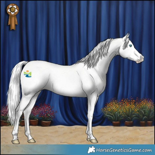 Horse Color:Silver Perlino Splash Tobiano Varnish Rabicano 