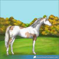 Horse Color:Chocolate Palomino Pearl Tobiano Frame and Chocolate Palomino Pearl Tobiano Frame