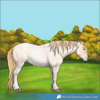 Horse Color:Buckskin Roan Pearl and Buckskin Roan Pearl