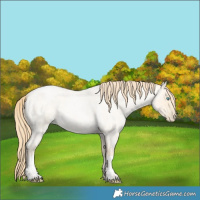 Horse Color:Buckskin Roan Pearl  and Buckskin Roan Pearl 
