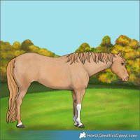 Horse Color:Chestnut Tobiano Varnish 