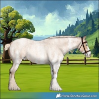 Horse Color:White Spotted Chocolate Palomino Roan Pearl Rabicano 