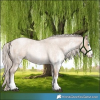 Horse Color:White Spotted Chocolate Palomino Roan Pearl Rabicano