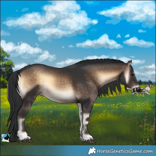 Horse Color:Brown Onyx