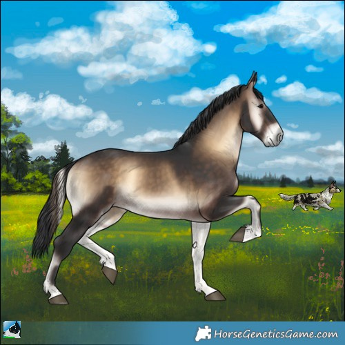 Horse Color:Brown Onyx