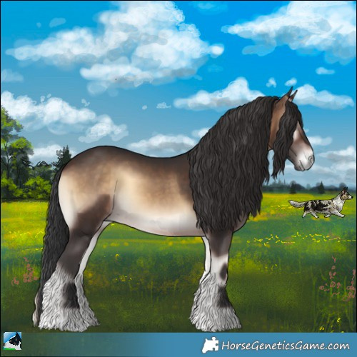 Horse Color:Brown Onyx