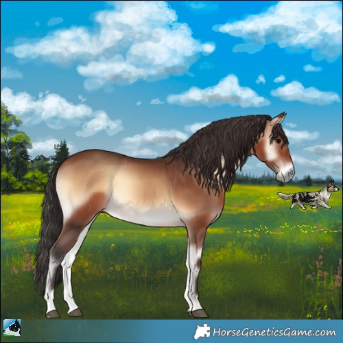 Horse Color:Brown Onyx 