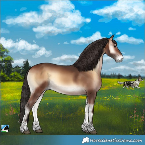 Horse Color:Brown Onyx