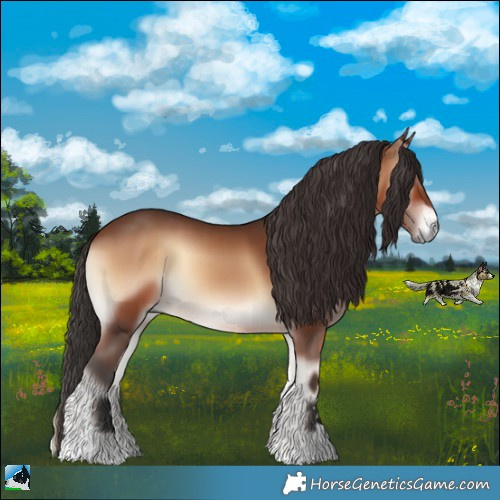 Horse Color:Brown Onyx 