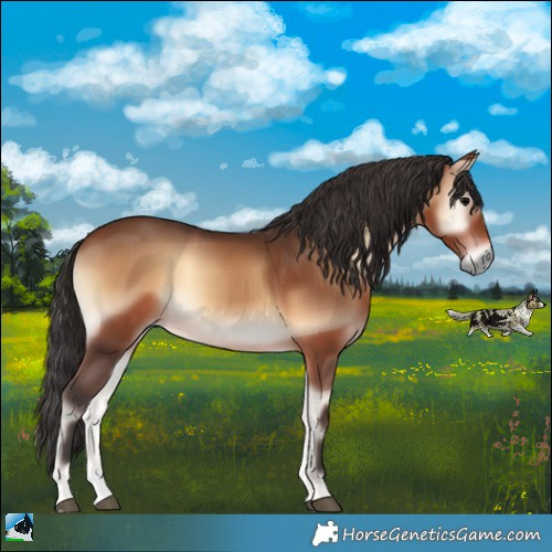 Horse Color:Brown Onyx