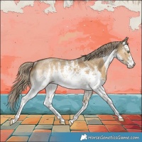 Horse Color:White Spotted Chocolate Palomino Dun Mushroom Sabino Rabicano 