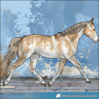 Horse Color:Chocolate Palomino Dun Sabino 