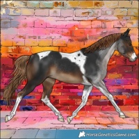 Horse Color:Gray White Spotted Liver Chestnut Tobiano Rabicano 