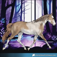 Horse Color:Gray White Spotted Liver Red Dun Rabicano 