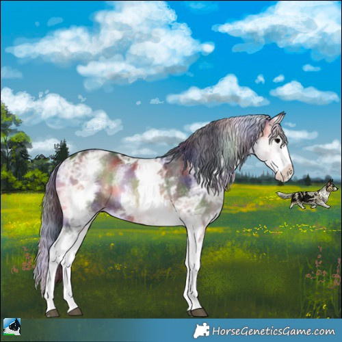 Horse Color:Nacre White Spotted Brown Ice Onyx Sabino Splash