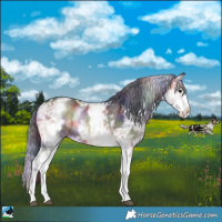 Horse Color:Nacre White Spotted Brown Ice Onyx Sabino Splash