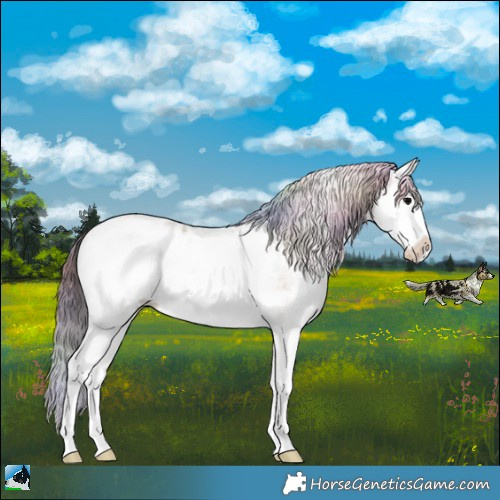 Horse Color:Nacre White Spotted Bay Ice Roan Onyx Splash Near Leopard