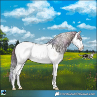 Horse Color:Nacre White Spotted Bay Ice Roan Onyx Splash Near Leopard 