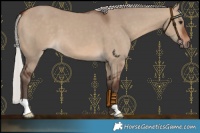 Horse Color:Silver Brown Dun 