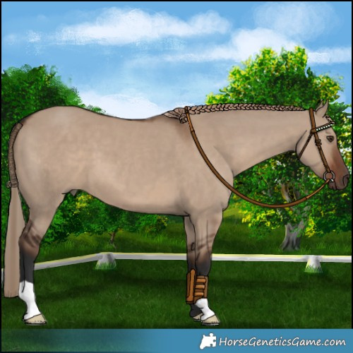 Horse Color:Liver Red Dun 