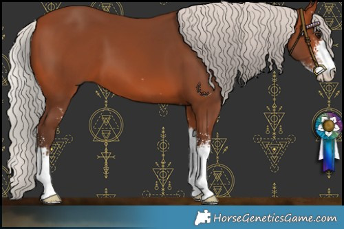 Horse Color:Silver Brown Sabino 