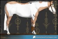 Horse Color:Silver Amber Champagne Frame 