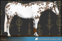 Horse Color:Silver Smoky Black Sabino Frame Leopard