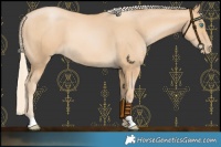 Horse Color:Palomino Pearl 