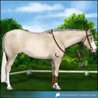 Horse Color:Silver Buckskin Roan Pearl 