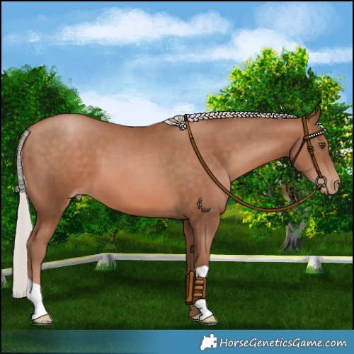 Horse Color:Silver Brown Pearl 