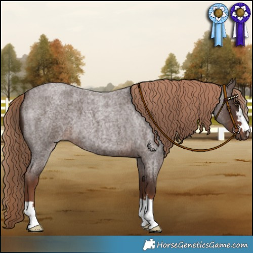 Horse Color:Liver Red Roan 