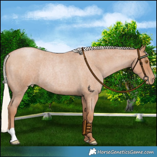 Horse Color:Silver Blue Roan Pearl Rabicano 