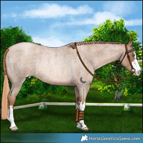 Horse Color:Liver Red Roan Pearl Rabicano 